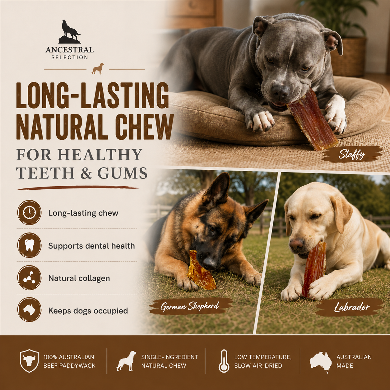 Long-lasting natural chew for healthy teeth and gums, Staffy German Shepherd and Labrador