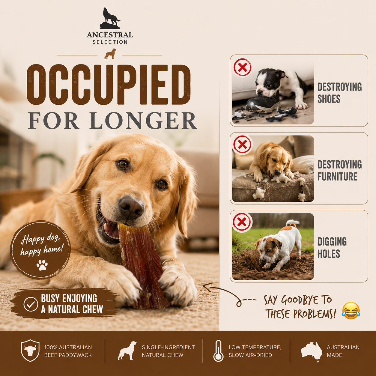 Occupied for longer — say goodbye to destroyed shoes, furniture and dug up holes