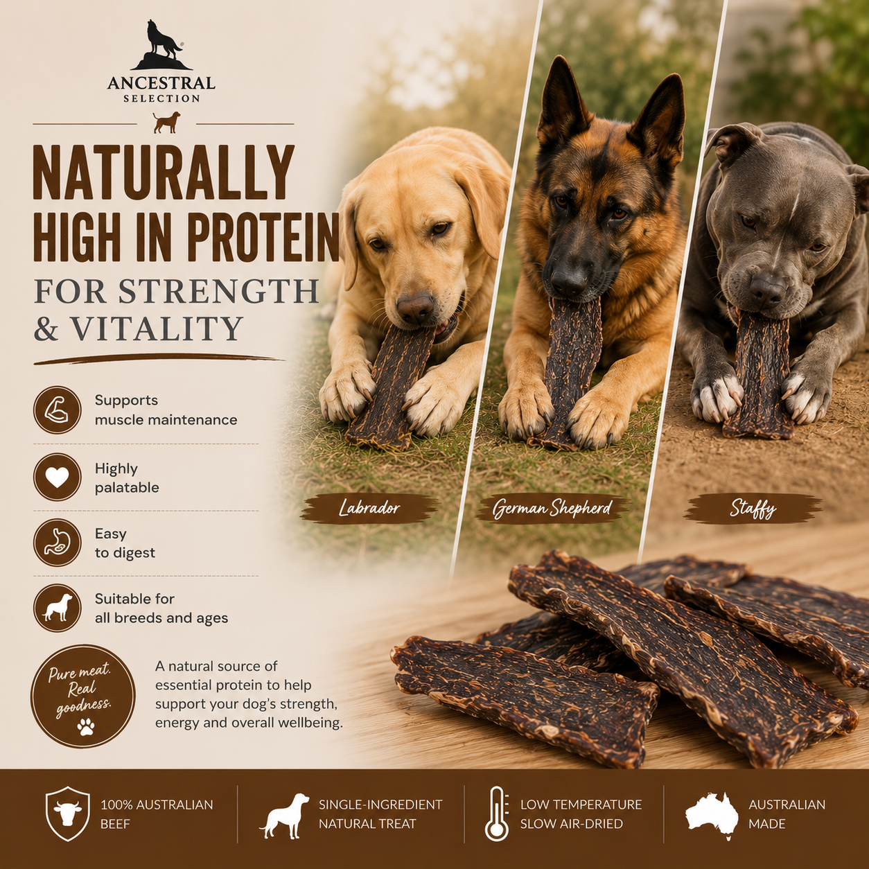 Naturally high in protein for strength and vitality, Labrador German Shepherd and Staffy