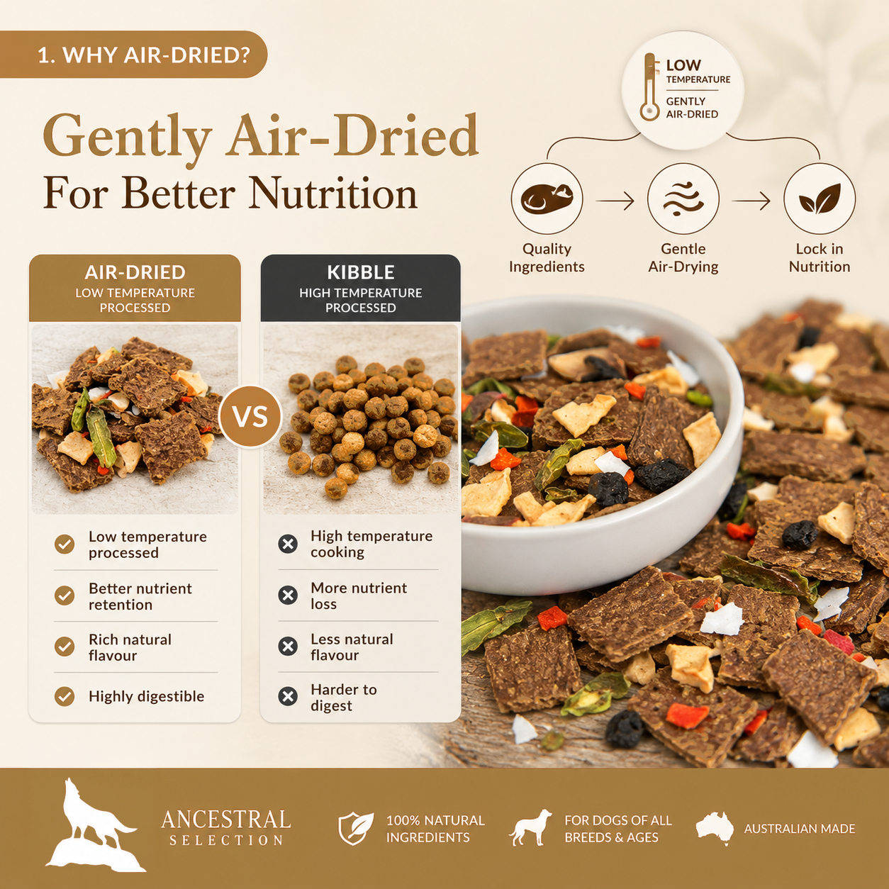Air-dried vs kibble comparison for chicken dog food