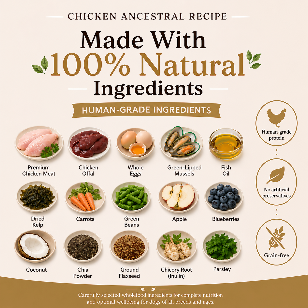 Chicken Ancestral Recipe 100% natural human-grade ingredients