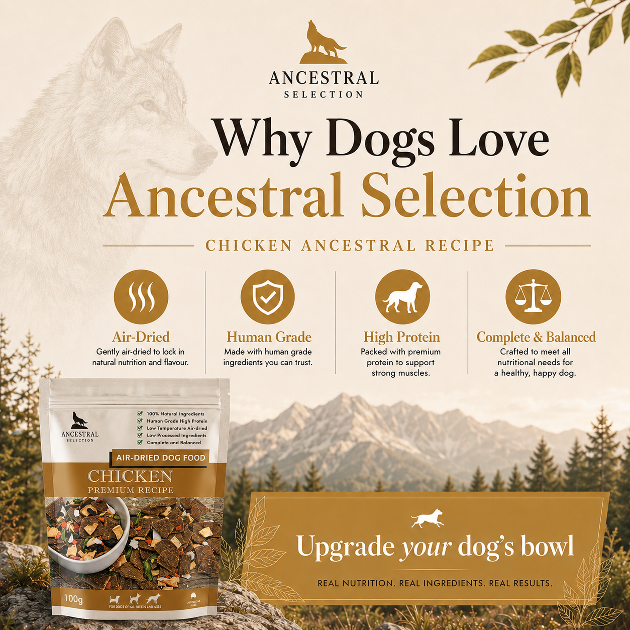 Why dogs love Ancestral Selection Chicken recipe — air-dried, human grade, high protein, complete and balanced