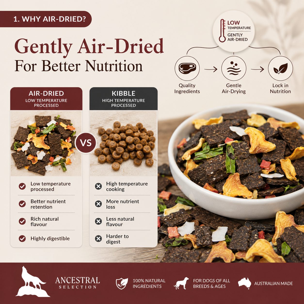 Air-dried vs kibble comparison for dog food