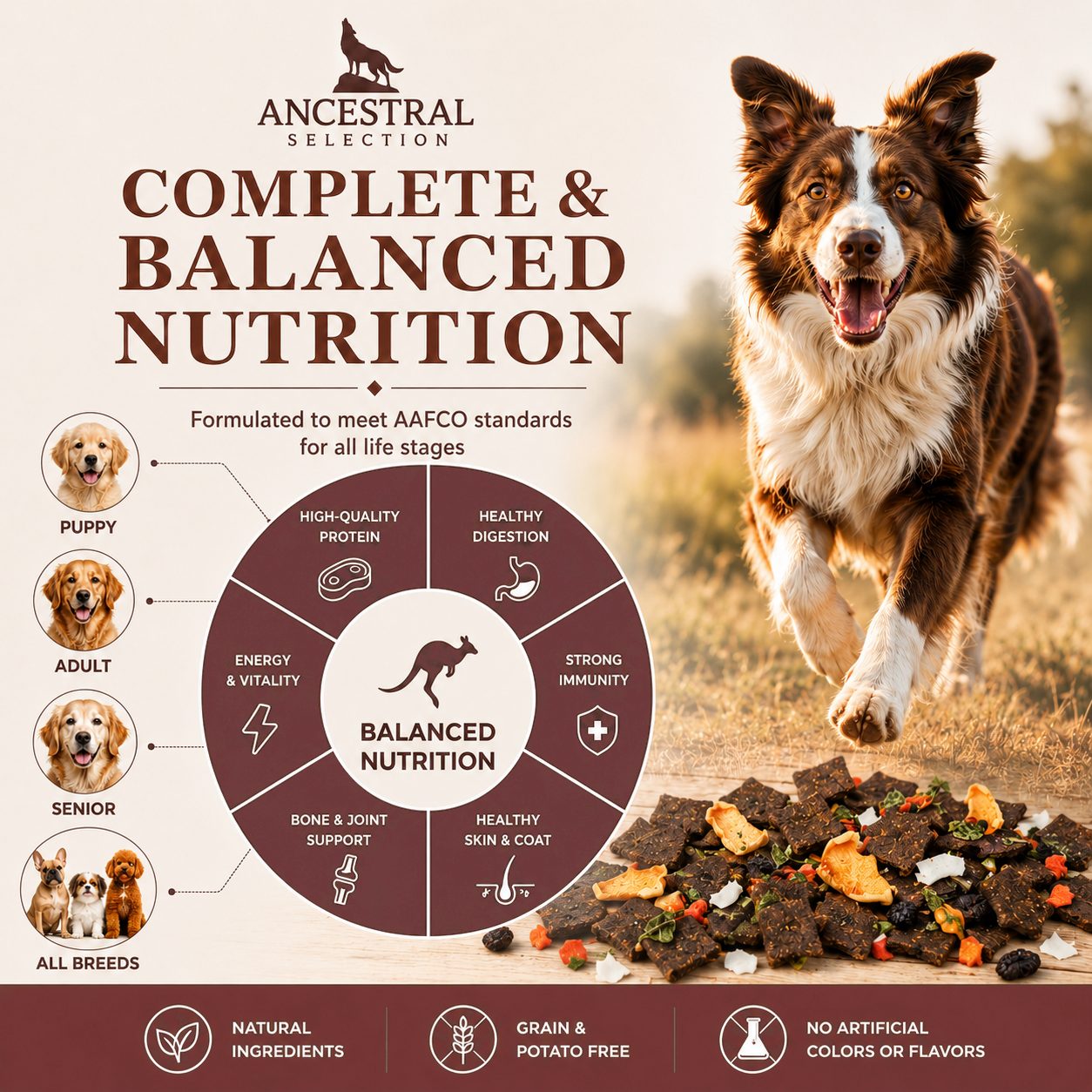 Complete and balanced nutrition wheel for puppy adult senior all breeds kangaroo