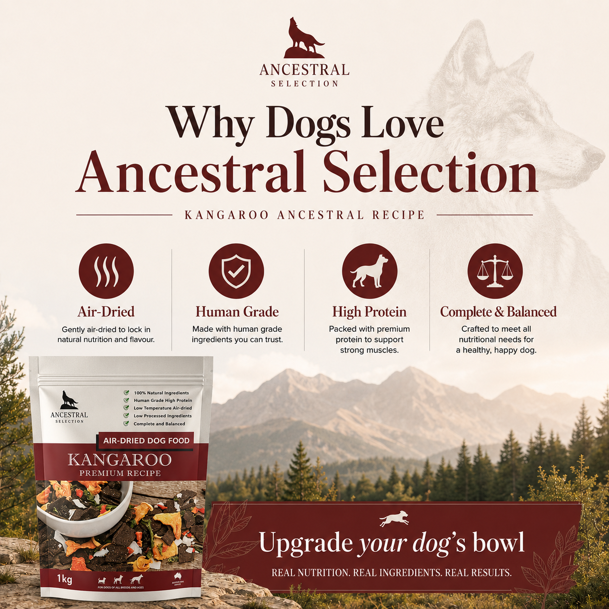 Why dogs love Ancestral Selection Kangaroo recipe — air-dried, human grade, high protein, complete and balanced