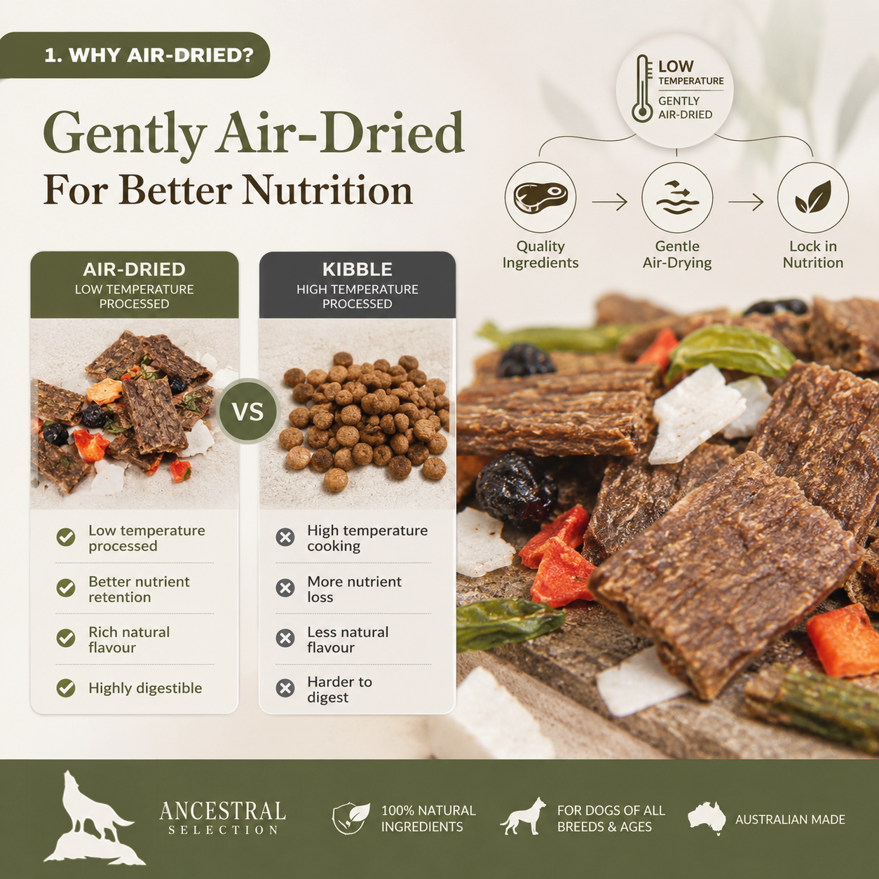 Air-dried vs kibble comparison for lamb and salmon dog food