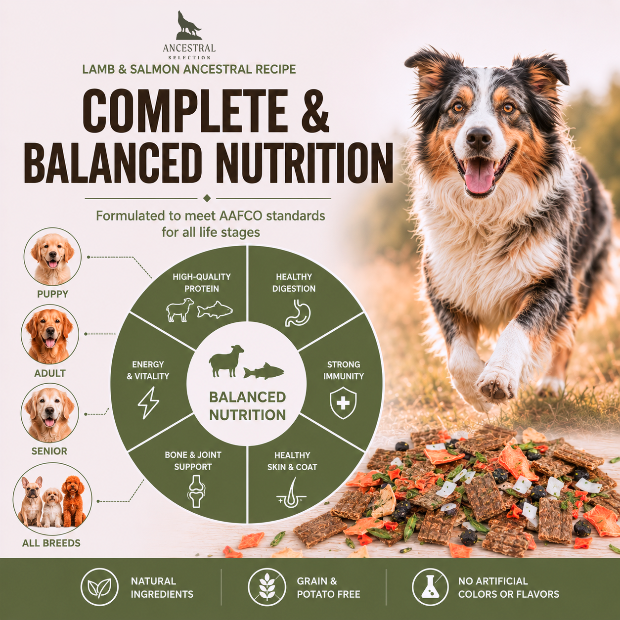 Complete and balanced nutrition wheel for puppy adult senior all breeds lamb and salmon