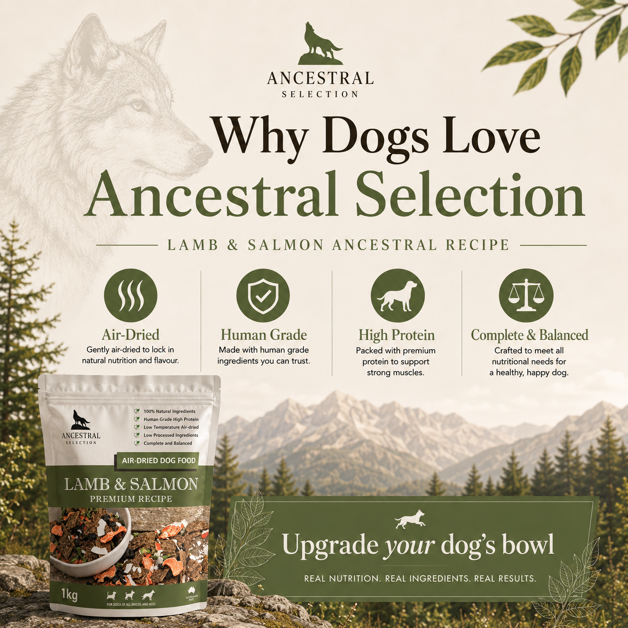 Why dogs love Ancestral Selection Lamb & Salmon recipe — air-dried, human grade, high protein, complete and balanced